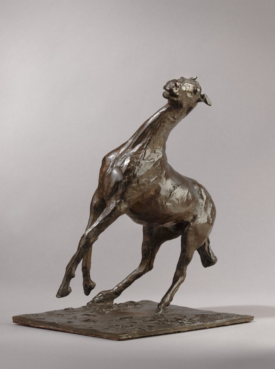 Felnevelő ló, mintázott 1870-es évek, öntött 1919-21 alkotó: Edgar Degas