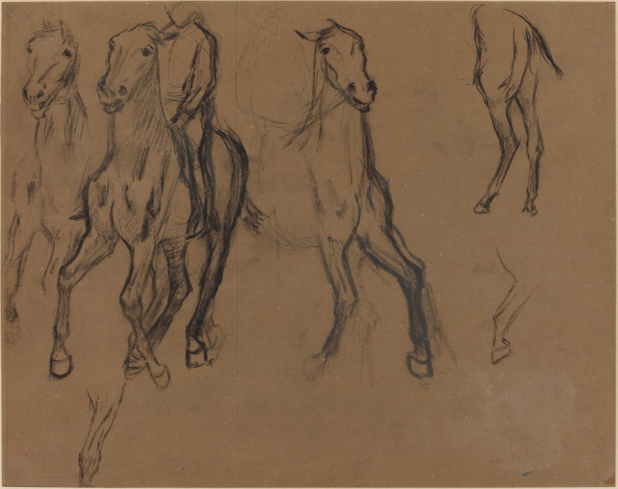 Lovak tanulmányozása alkotó: Edgar Degas