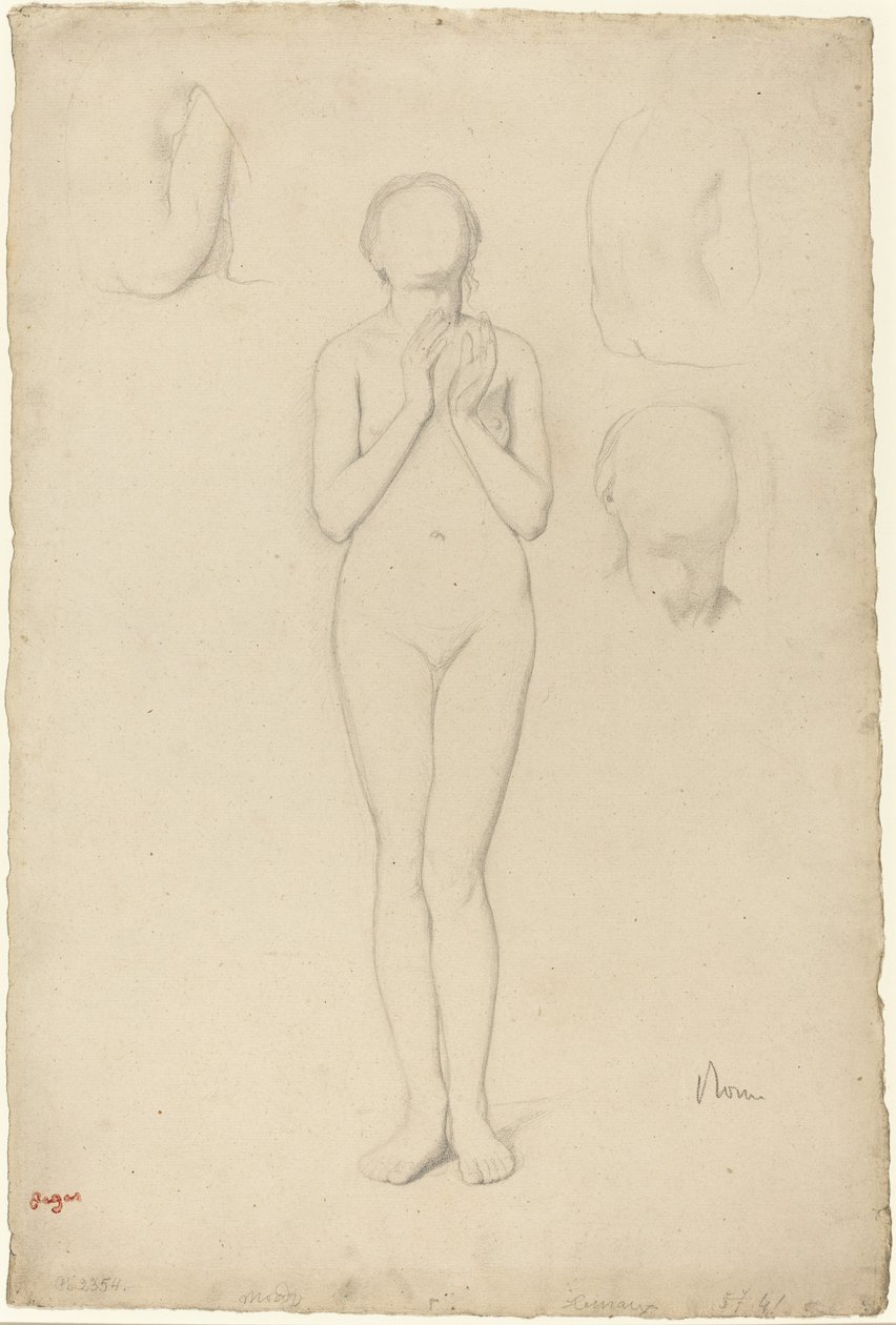 Tanulmány egy női aktról alkotó: Edgar Degas