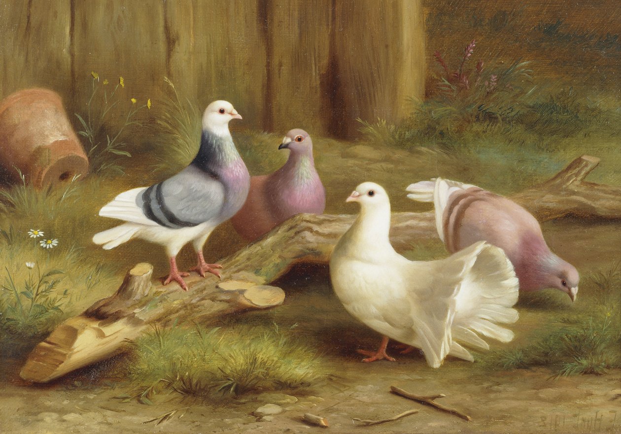Galambok alkotó: Edgar Hunt
