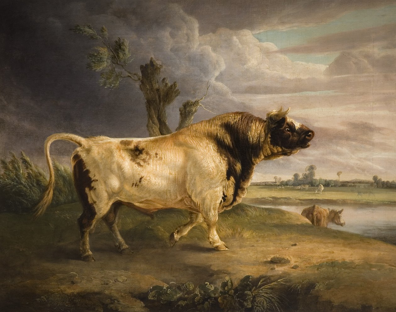 Egy nyereménybull alkotó: Edmund Bristow