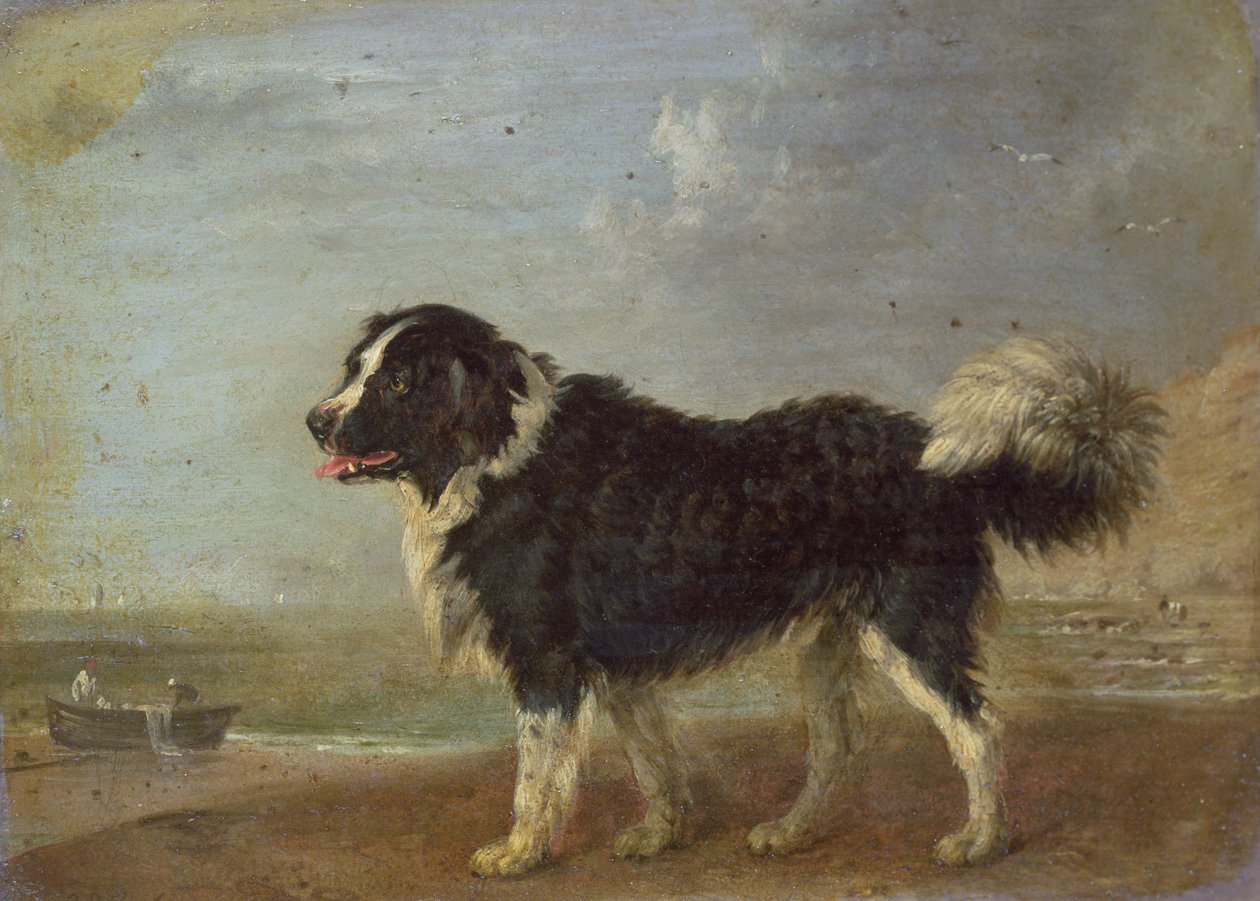 Ismeretlen kép alkotó: Edmund Bristow
