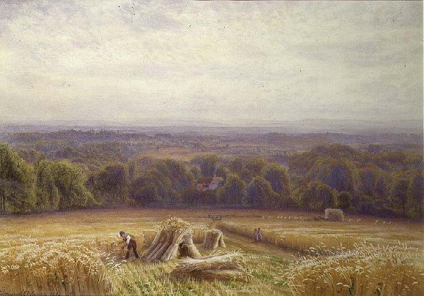 Betakarítás alkotó: Edmund George Warren