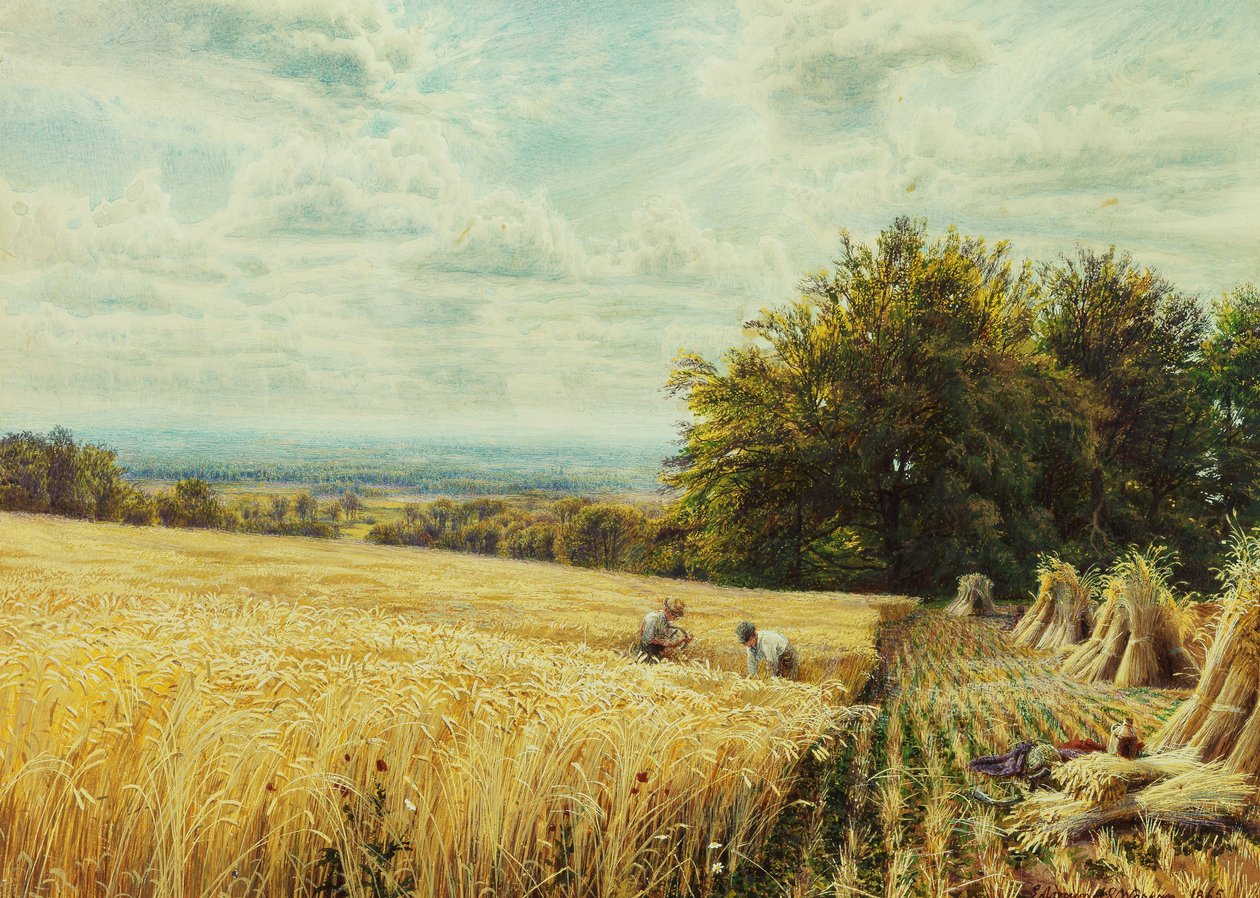 Aratógépek, 1865 alkotó: Edmund George Warren