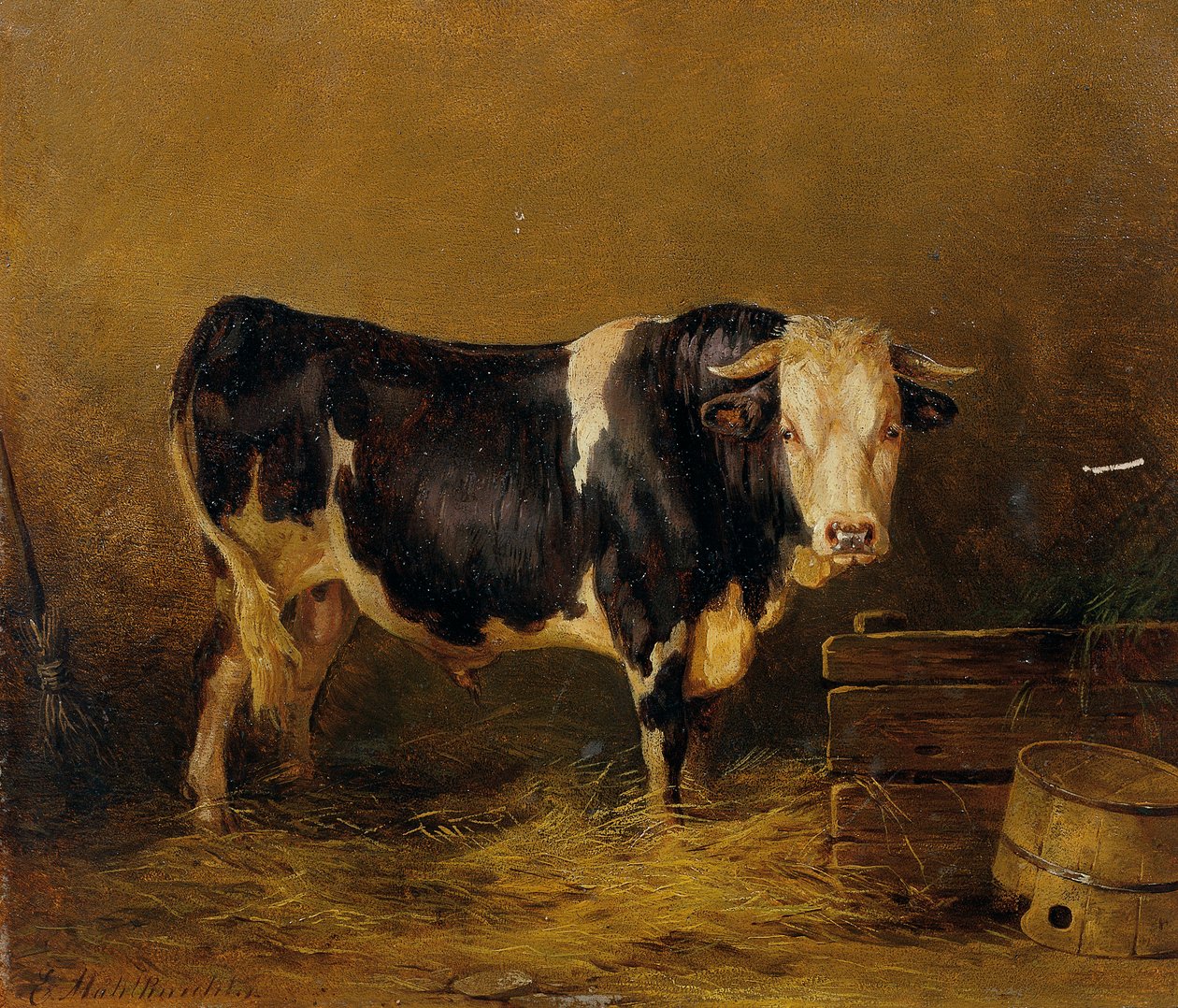 bika az istállóban alkotó: Edmund Mahlknecht