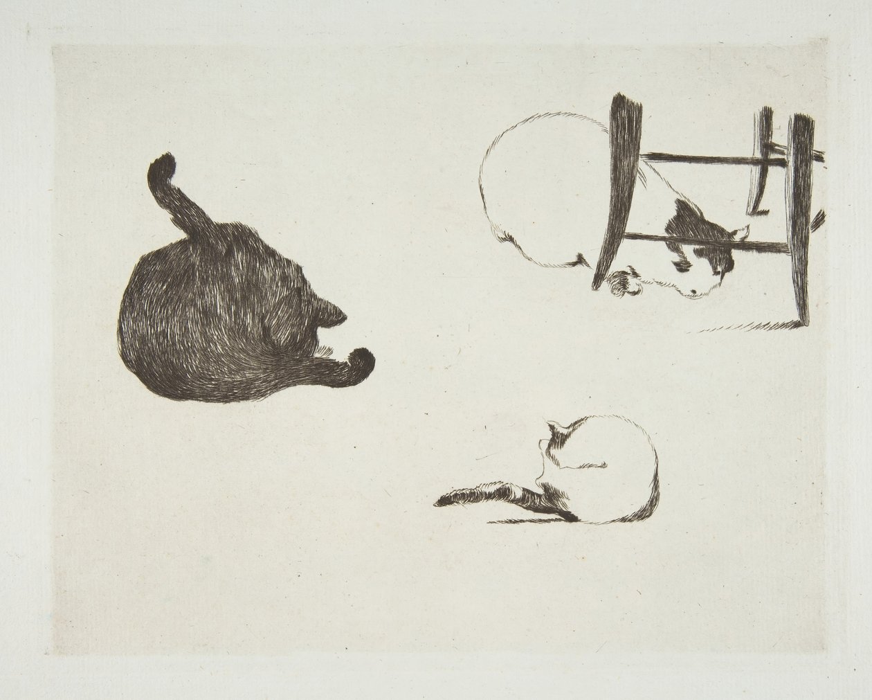 Macskák, 1868-69. alkotó: Édouard Manet