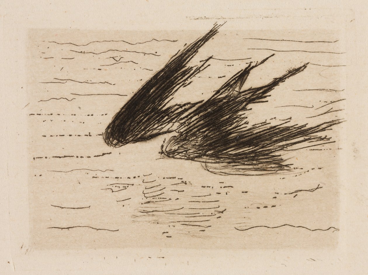 Fecskék, 8-as tányér a Le Fleuve-ból alkotó: Édouard Manet