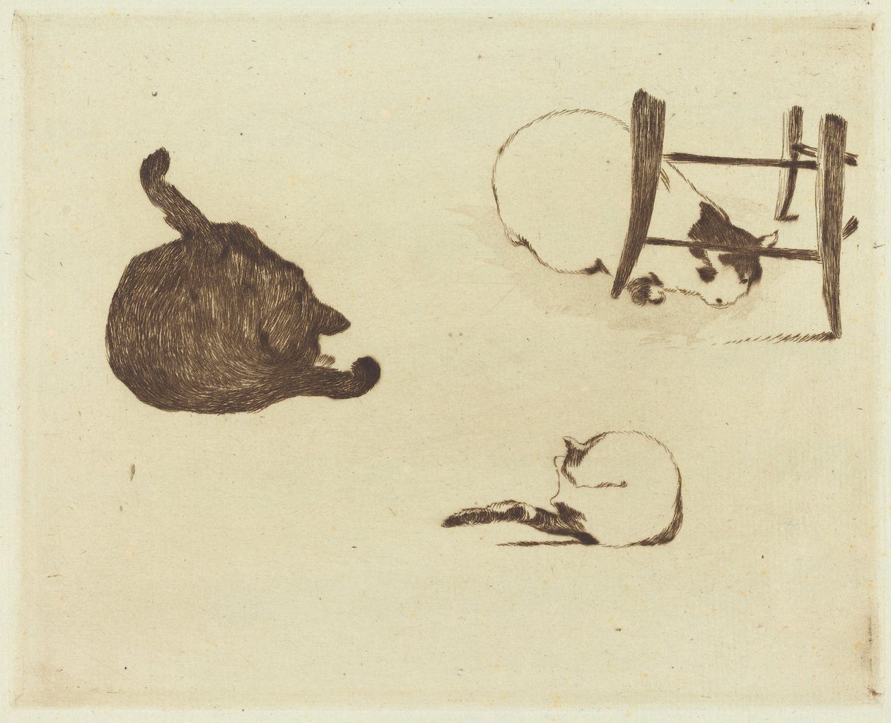 A macskák (Les chats) alkotó: Édouard Manet