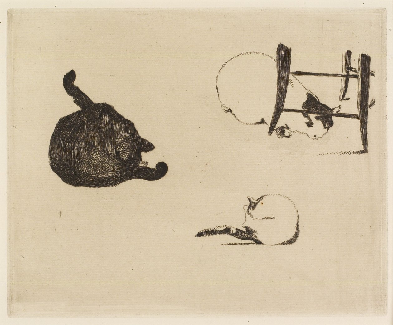 A macskák, 1869 alkotó: Édouard Manet