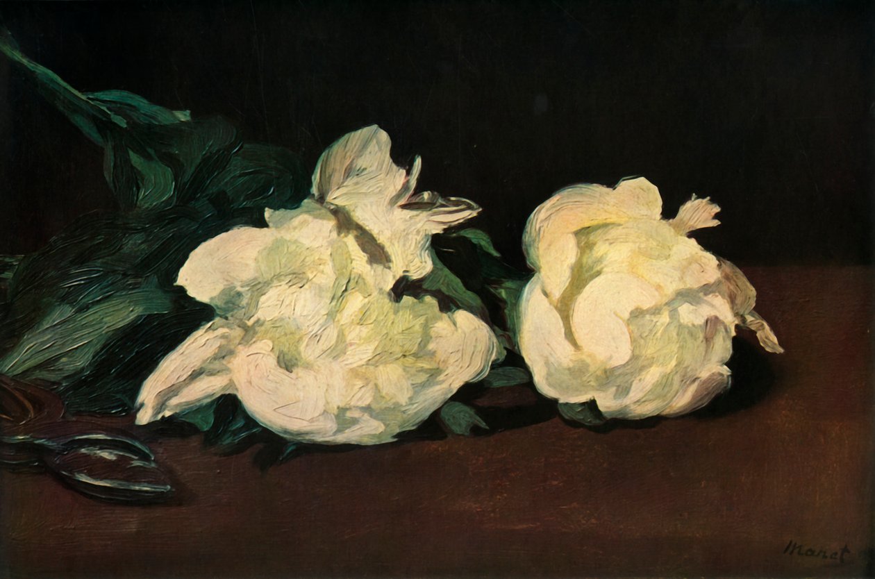 Fehér bazsarózsa, 1864, 1937. alkotó: Édouard Manet