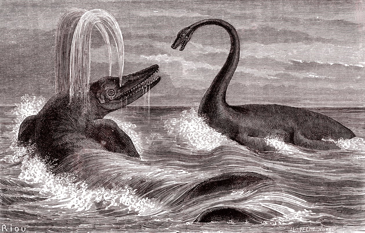 Az Ichtyosaurus és a Plesiosaurus alkotó: Edouard Riou