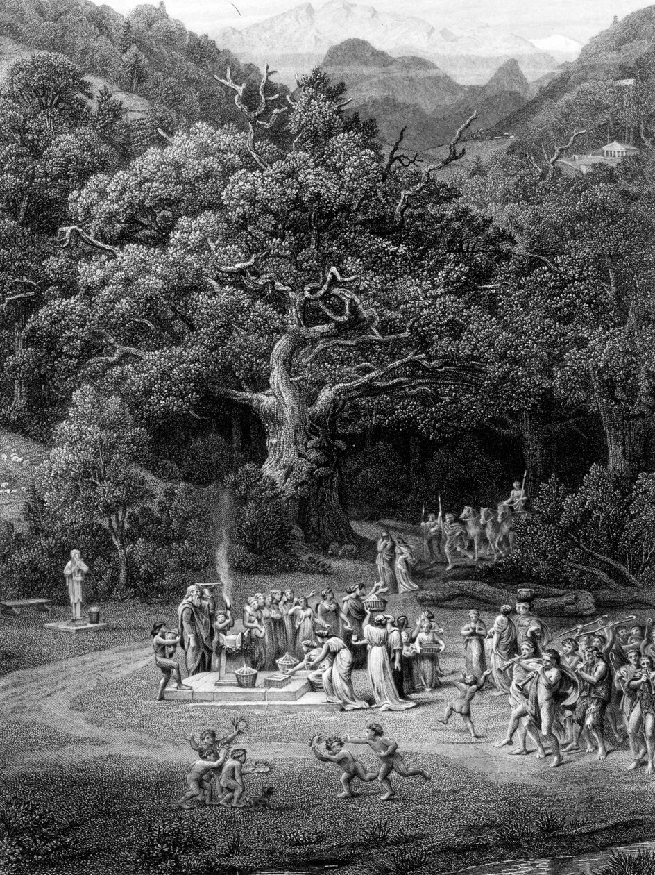 Illusztráció John Keats „Endymion” című verséhez, F. Joubert metszet, 1872 alkotó: Edward John Poynter