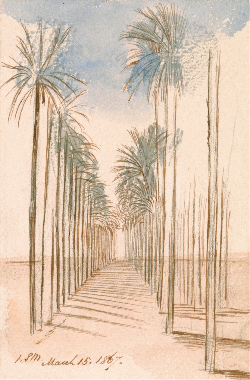 Fák sugárútja alkotó: Edward Lear