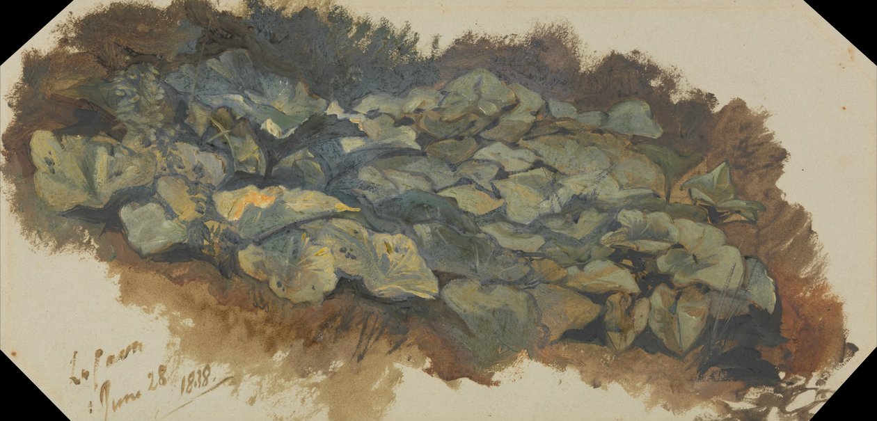 A Cava alkotó: Edward Lear
