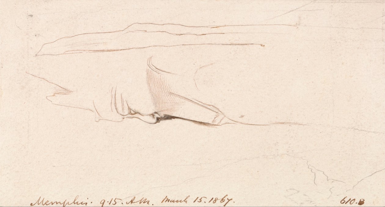 Memphis alkotó: Edward Lear