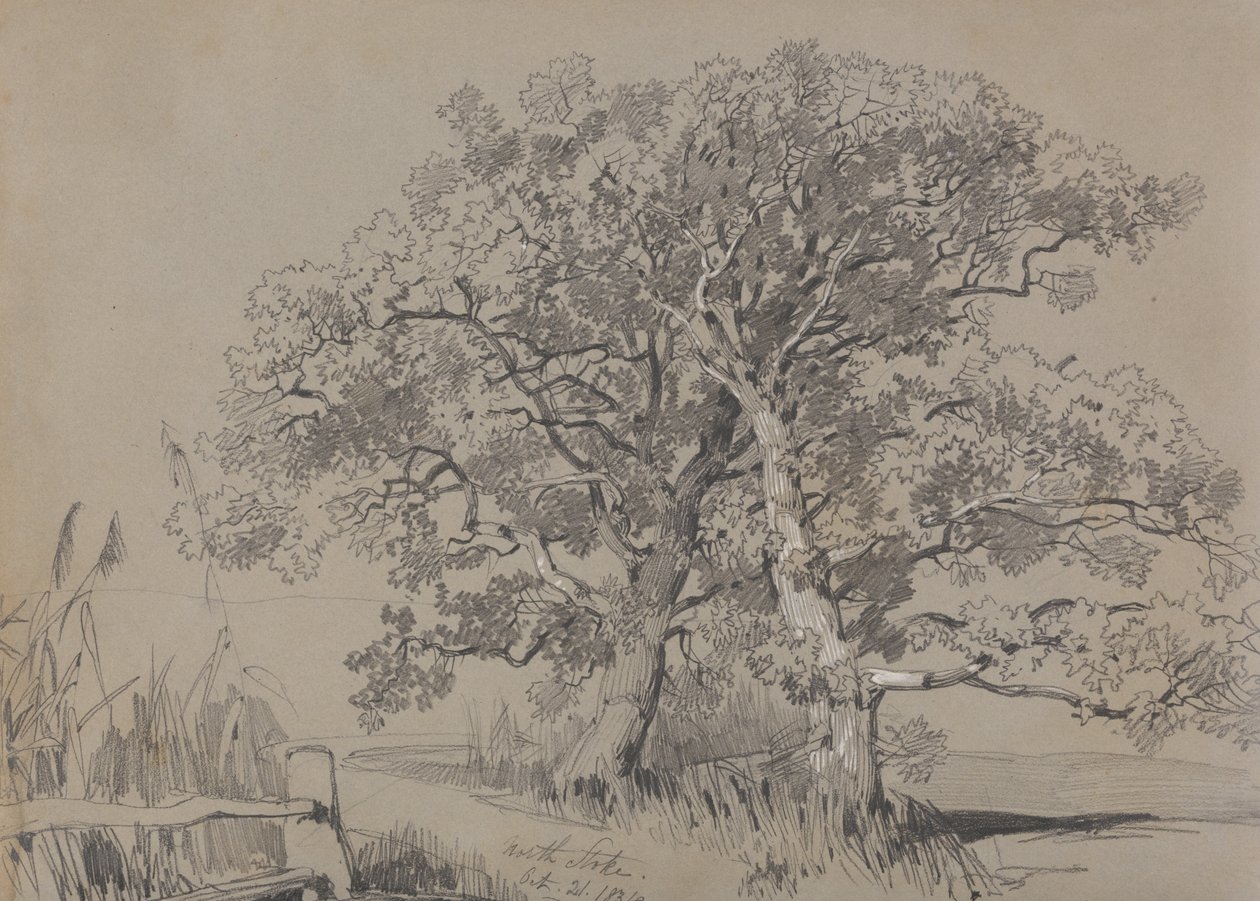 North Stoke. Október 21.1834. alkotó: Edward Lear