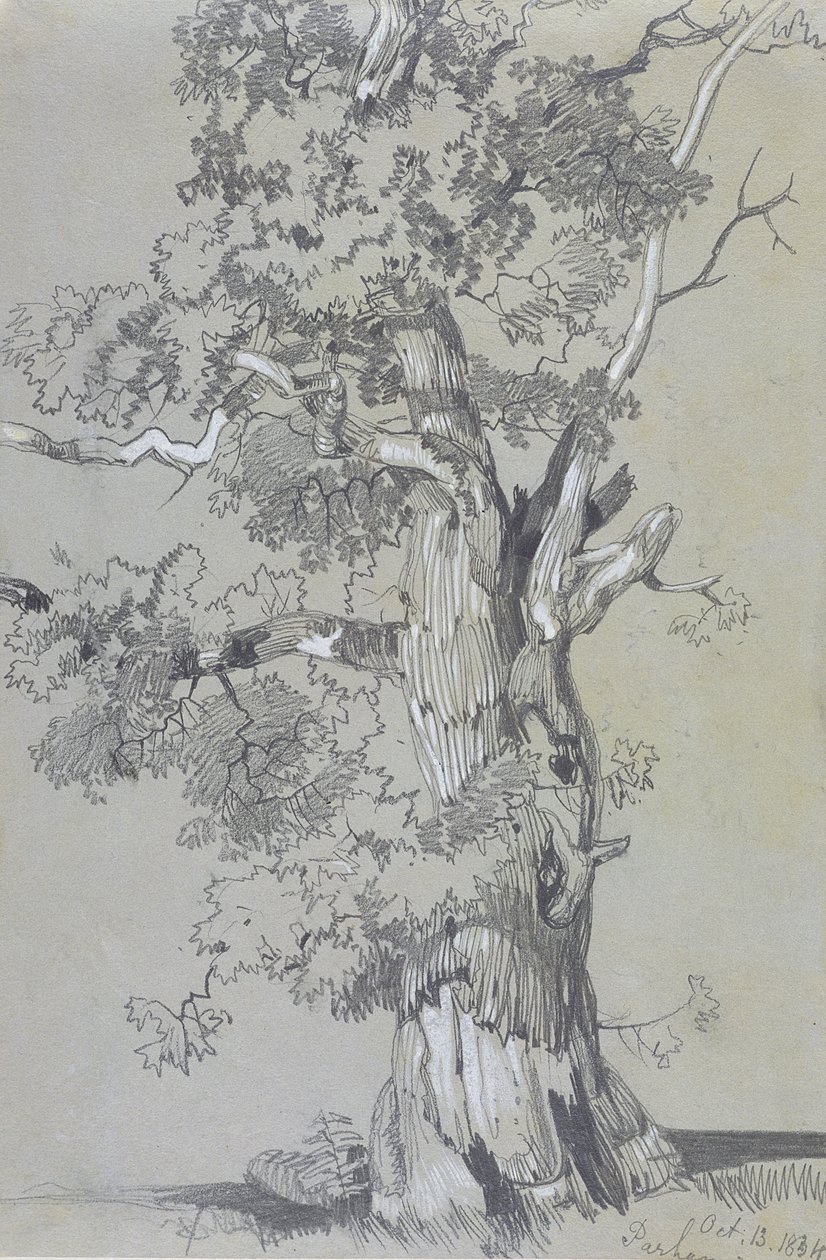 Parham, 1834. október 13. (grafit fehér gouasszal barna szőtt papíron) alkotó: Edward Lear