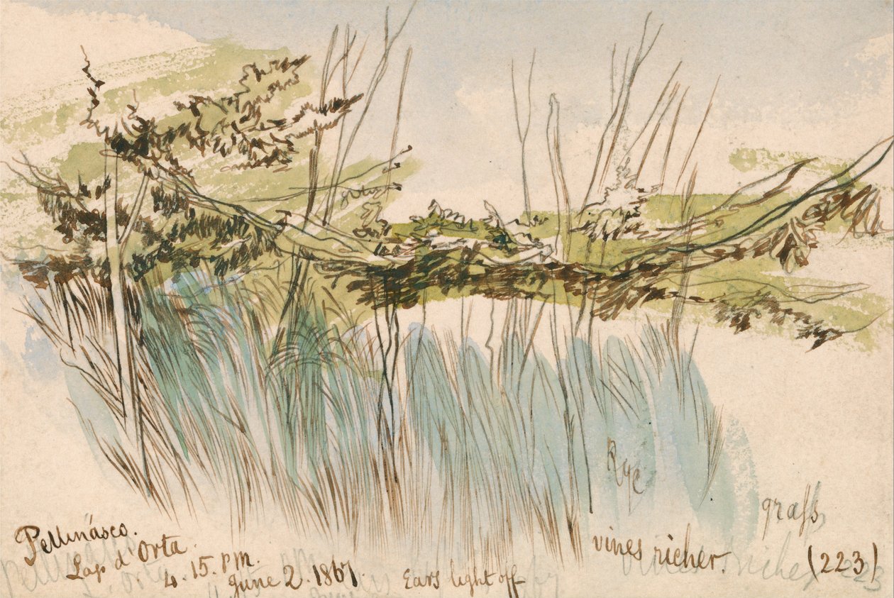 Pettenasco, Lago dOrta alkotó: Edward Lear