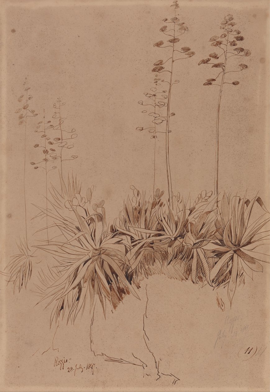 Reggio alkotó: Edward Lear