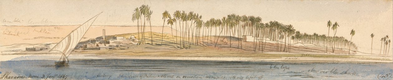 Sharve alkotó: Edward Lear
