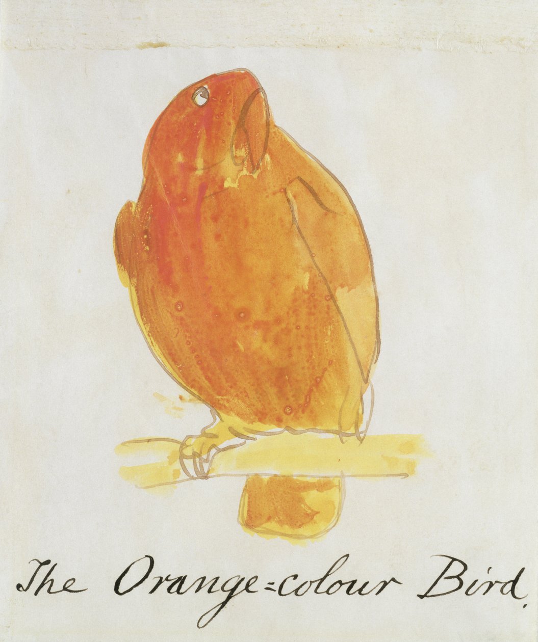 A narancsszínű madár a „Tizenhat képregény madarak rajzából” (toll, tinta és WC papíron) alkotó: Edward Lear