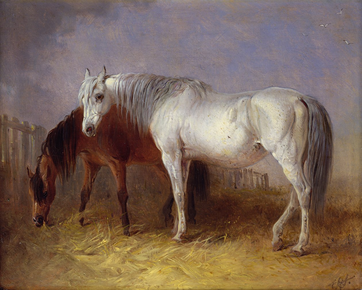 Szürke és gesztenyebarna lovak alkotó: Edward Robert Smythe