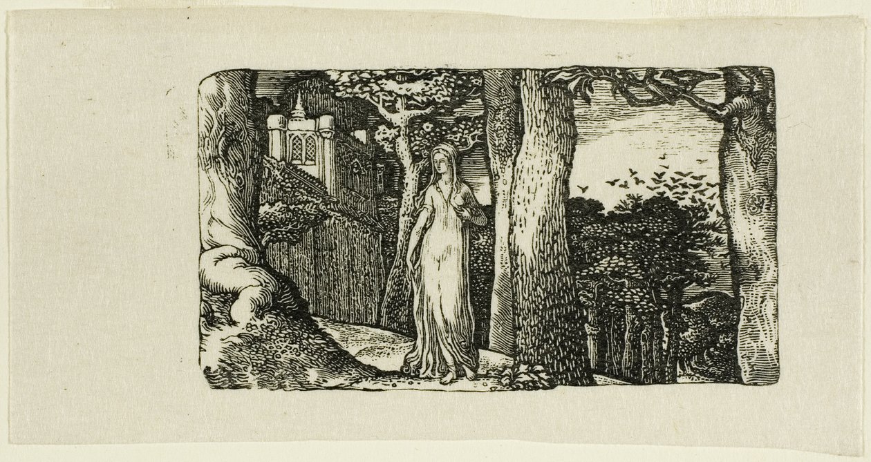 The Lady and the Rooks alkotó: Edward Calvert