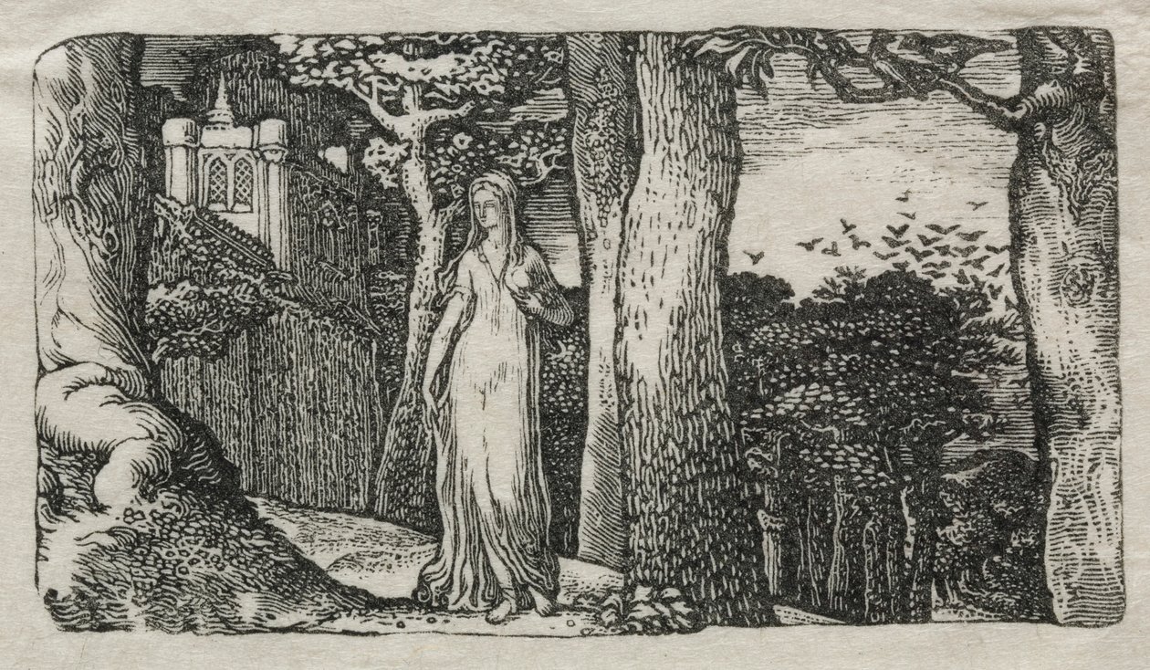 The Lady and the Rooks, 1829. alkotó: Edward Calvert