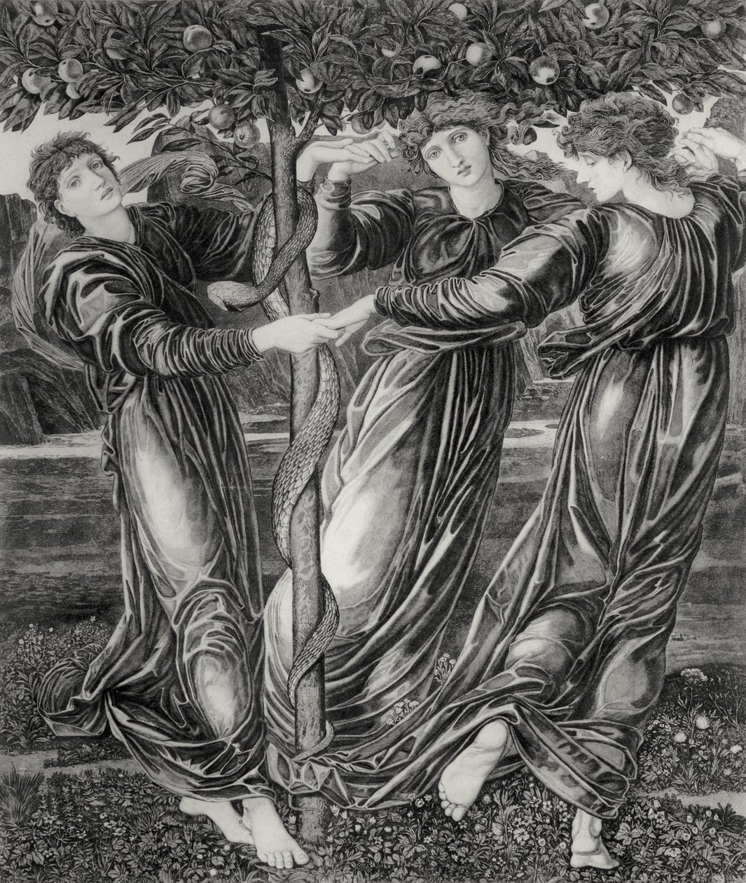 A Hesperidák kertje alkotó: Edward Coley (after) Burne Jones
