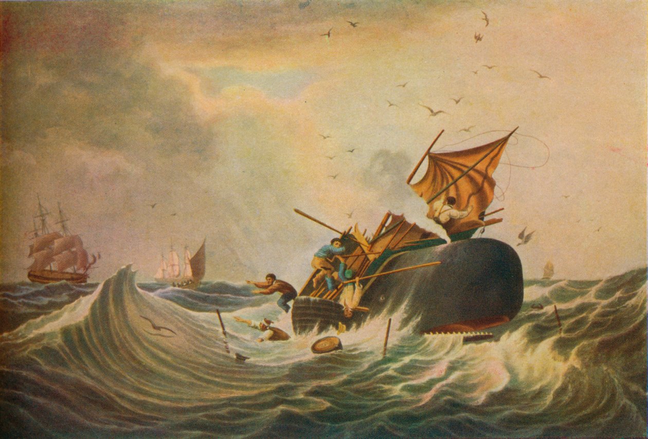 Déli-tengeri bálnahalászat, 1836 alkotó: Edward Duncan