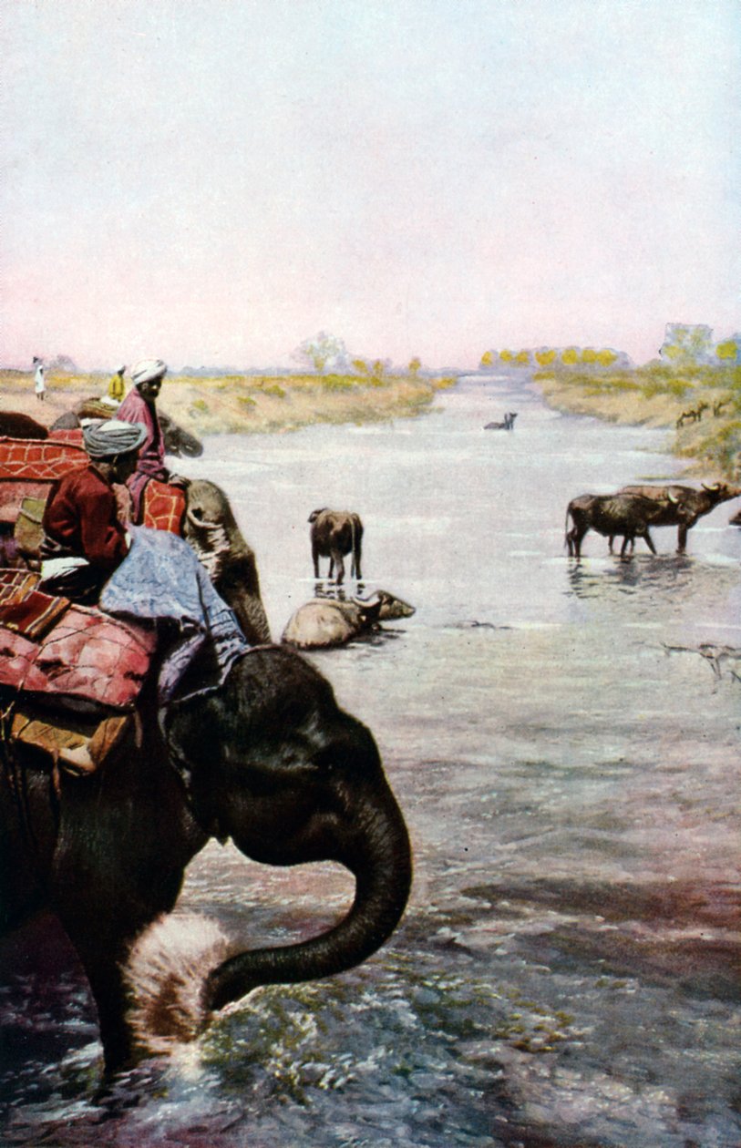 Folyói jelenet, Közép-India, 1930-as évek alkotó: Edward E Long