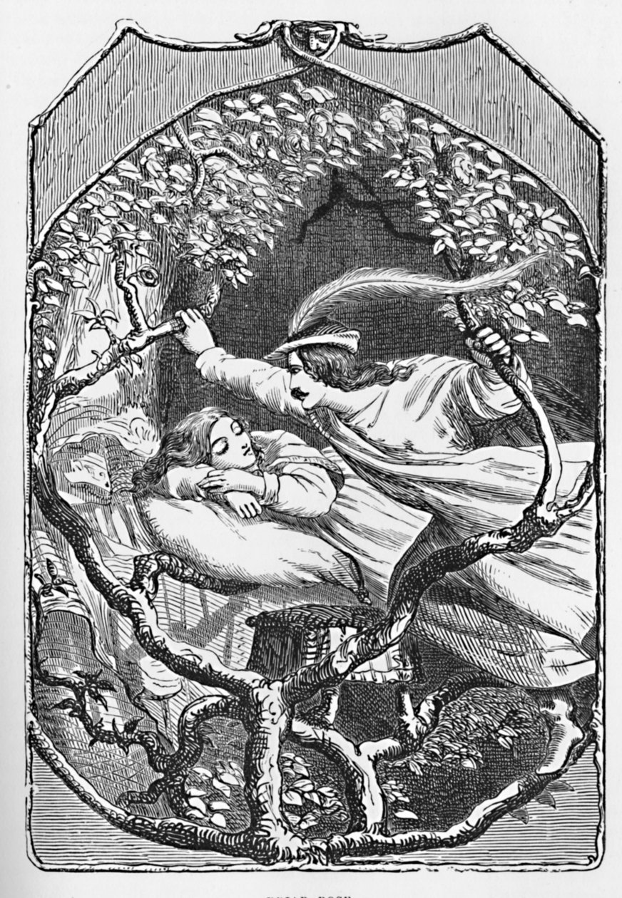 Briar Rose, 1901 alkotó: Edward Henry Wehnert