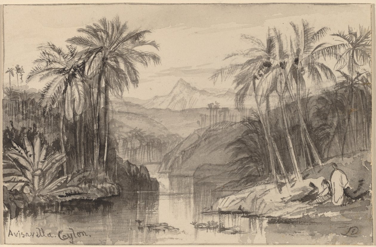Avisavella, Ceylon alkotó: Edward Lear