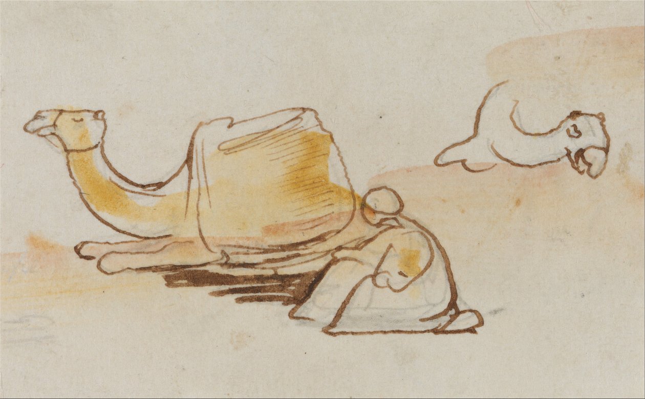 Teve tanulmányok alkotó: Edward Lear