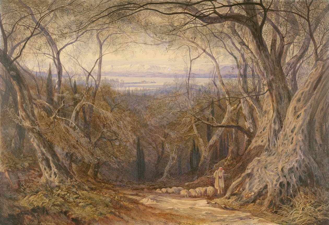 Korfu alkotó: Edward Lear