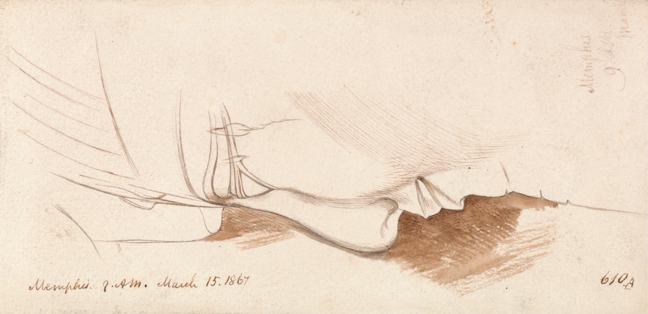 Memphis alkotó: Edward Lear
