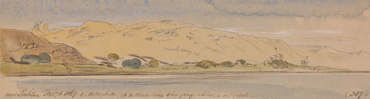 Sabooa közelében alkotó: Edward Lear