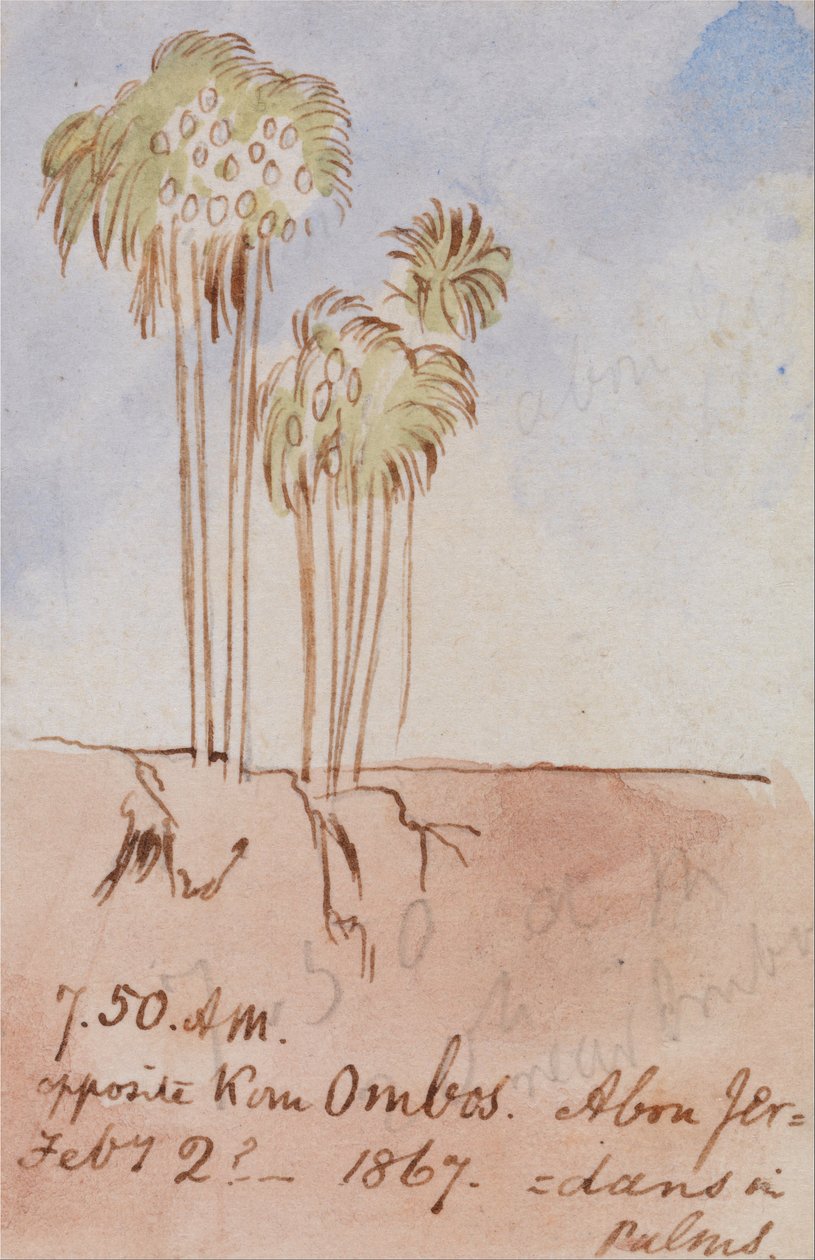 Szemben Kom Ombos Abu Jer alkotó: Edward Lear