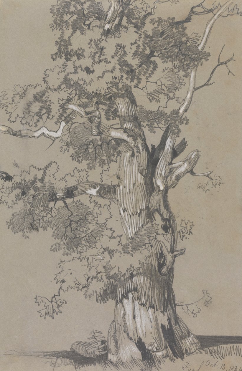 Parham, 1834. október 13 alkotó: Edward Lear