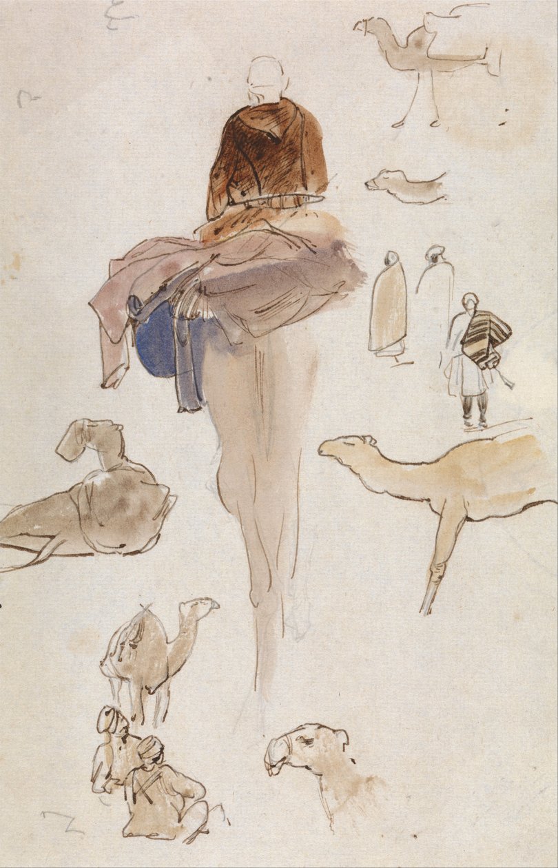 Tanulmányok a tevékről alkotó: Edward Lear