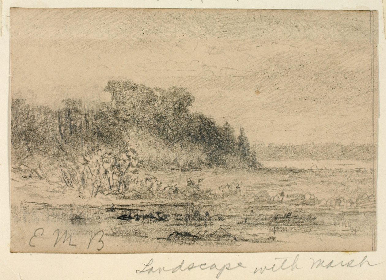 Tájkép mocsárral alkotó: Edward Mitchell Bannister
