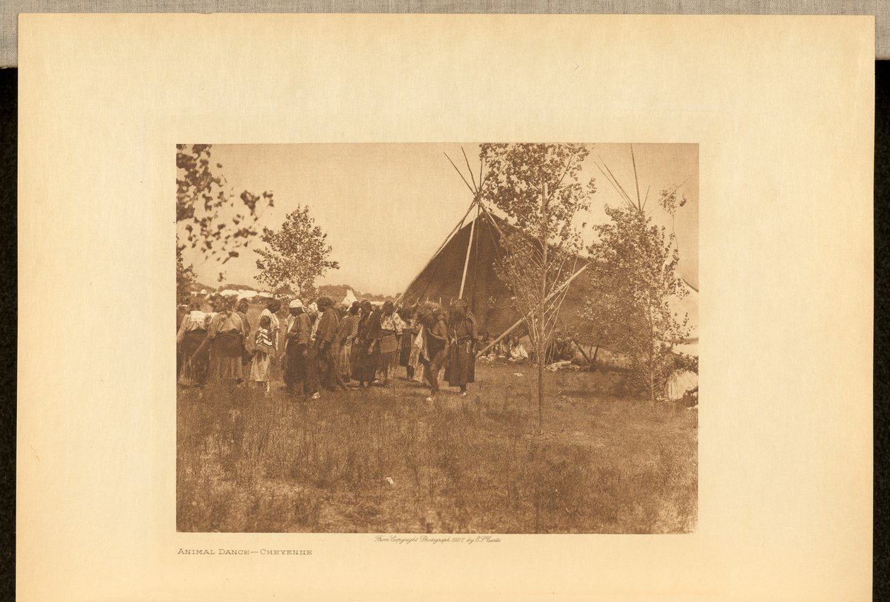 Állati tánc - Cheyenne alkotó: Edward S. Curtis