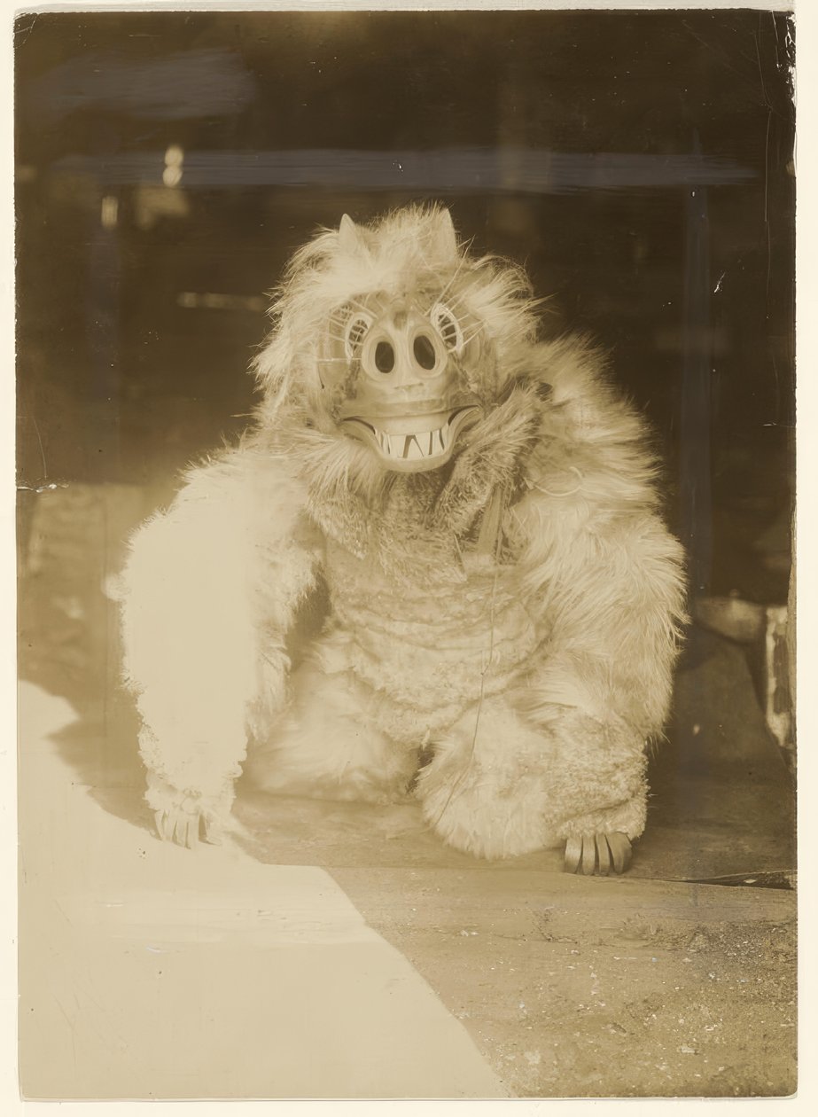 A farkas maszkban alkotó: Edward S. Curtis
