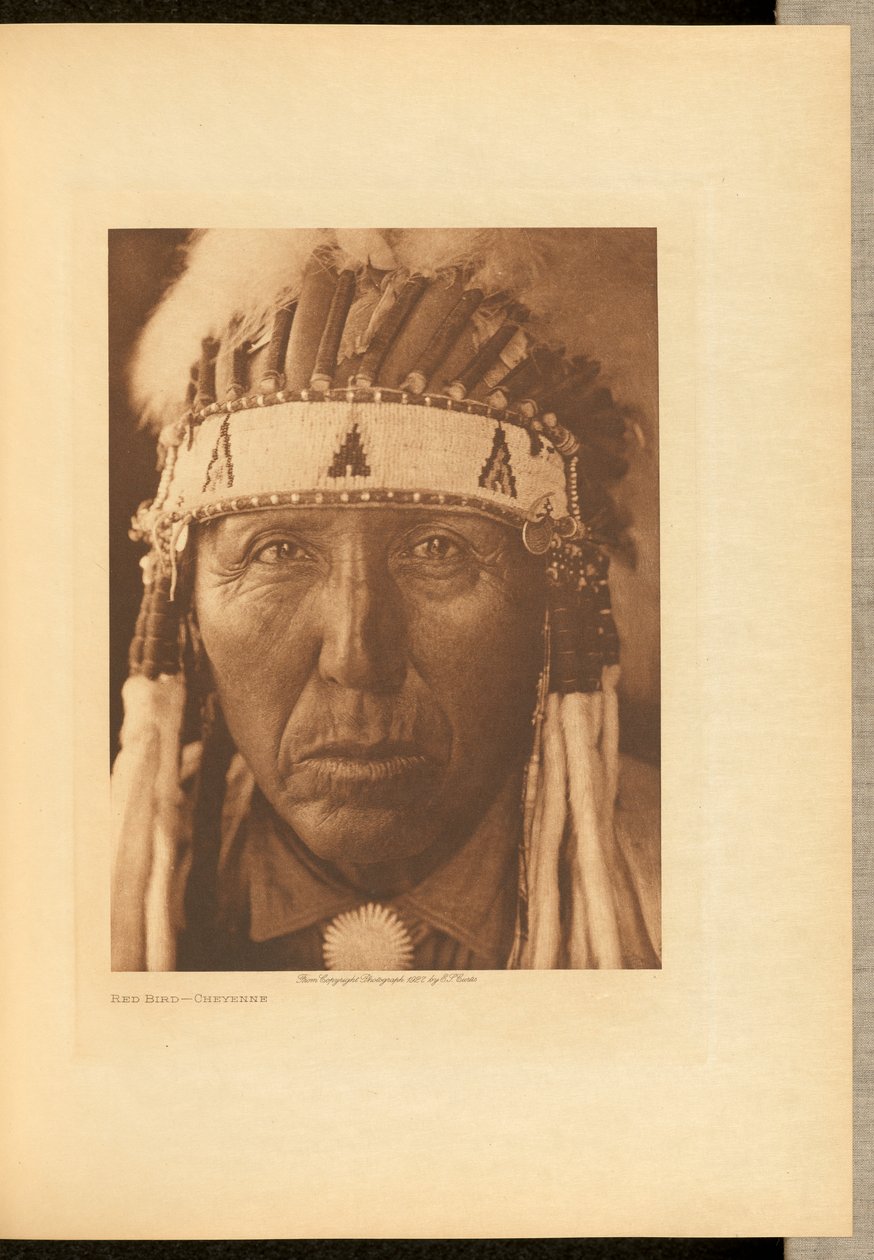 Red Bird - Cheyenne alkotó: Edward S. Curtis