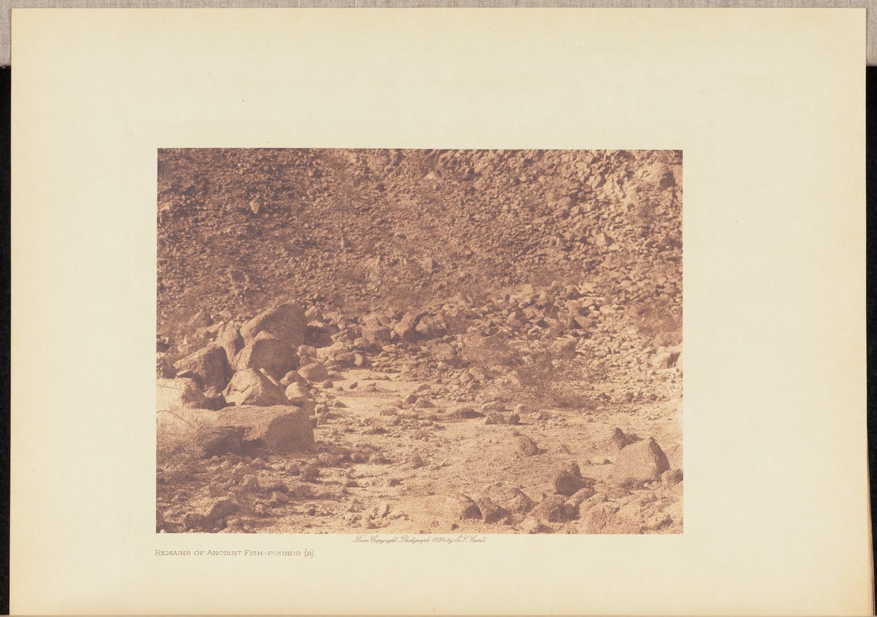 Ősi halak maradványai (b) alkotó: Edward S. Curtis