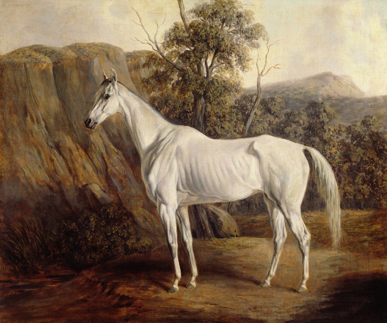 Bolívia, 1836 alkotó: Edward Troye
