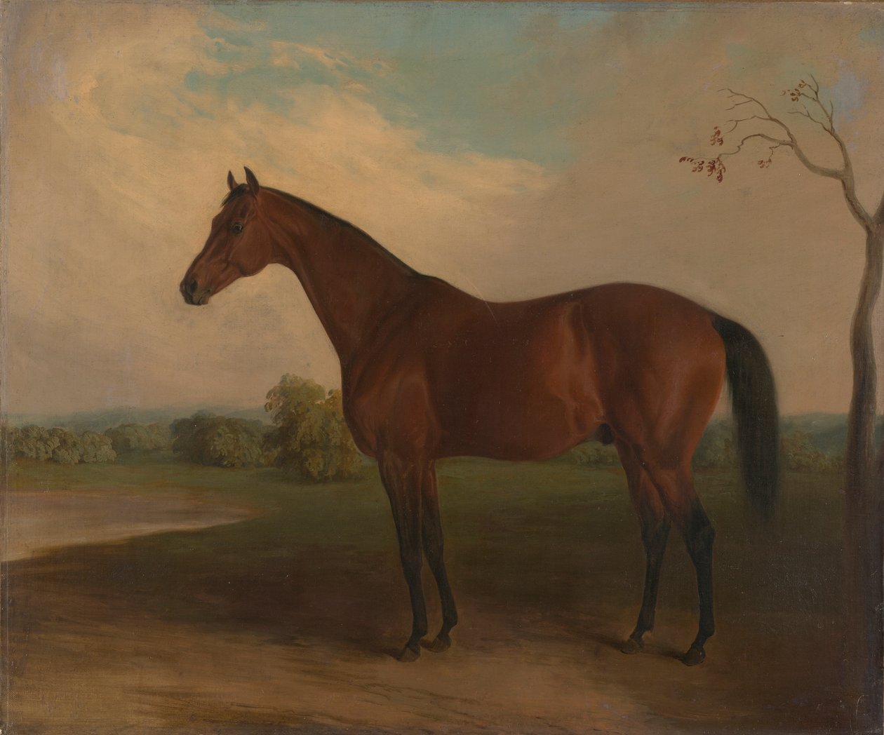 Szuverén alkotó: Edward Troye