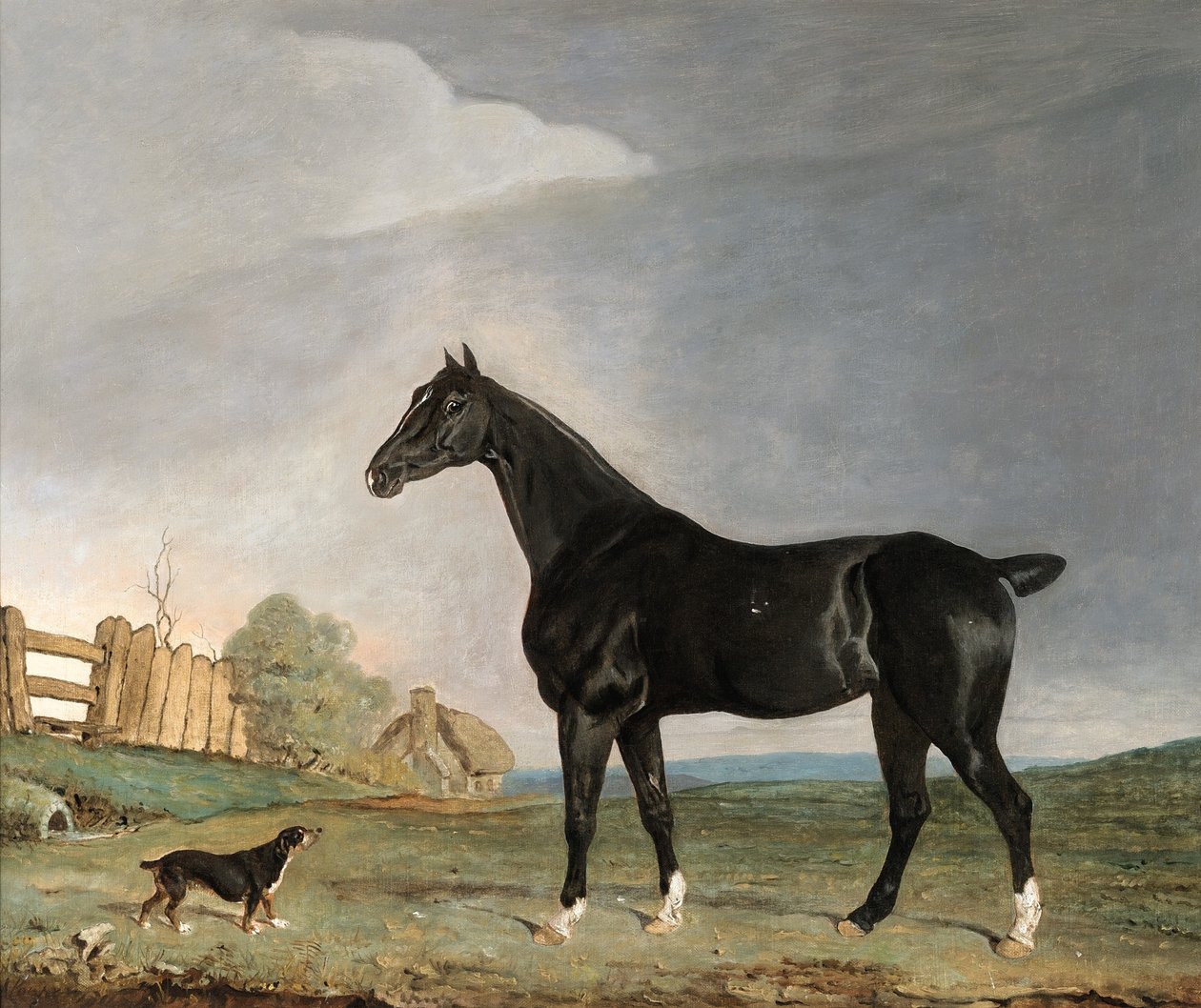 Egy sötétbarna ló és egy terrier egy tájban alkotó: Edwin W. Cooper