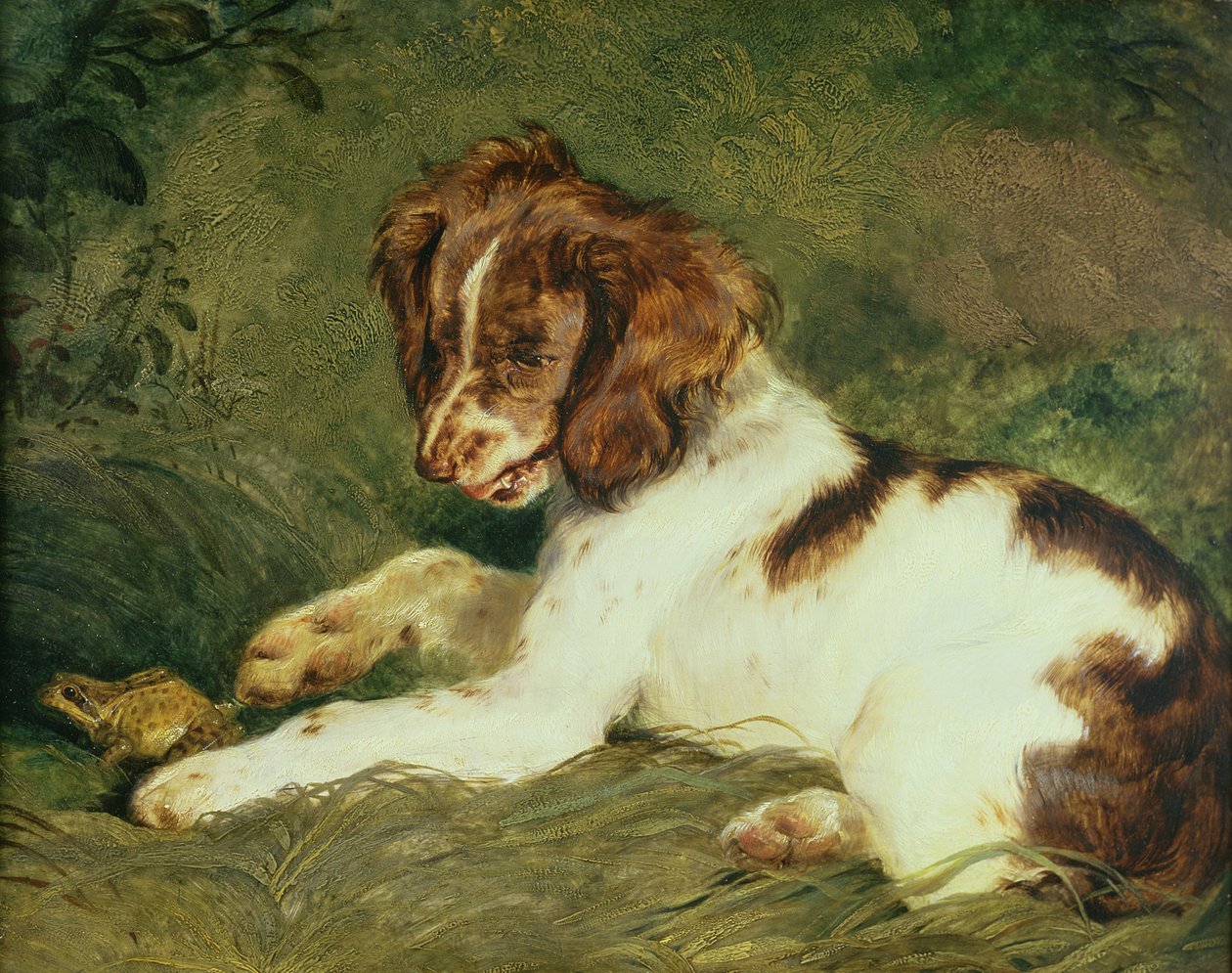 Békát ugrató kiskutya, 1824 (panel) alkotó: Edwin Landseer