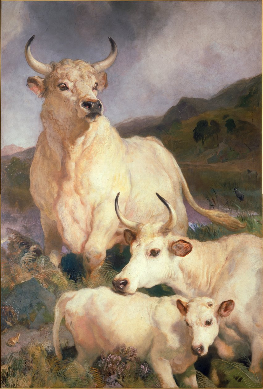 Chillingham vadmarha, Northumberland, 1867 körül alkotó: Edwin Landseer